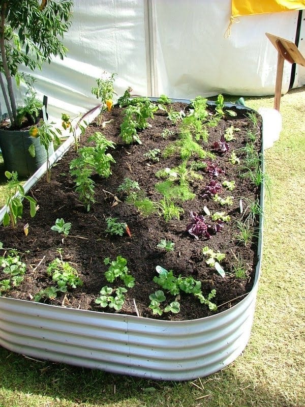 Rectangle Planter | Rainfill Tanks & Curved Roofing Supplies