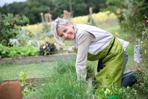 Raised garden beds ... are putting the fun back into growing vegetables